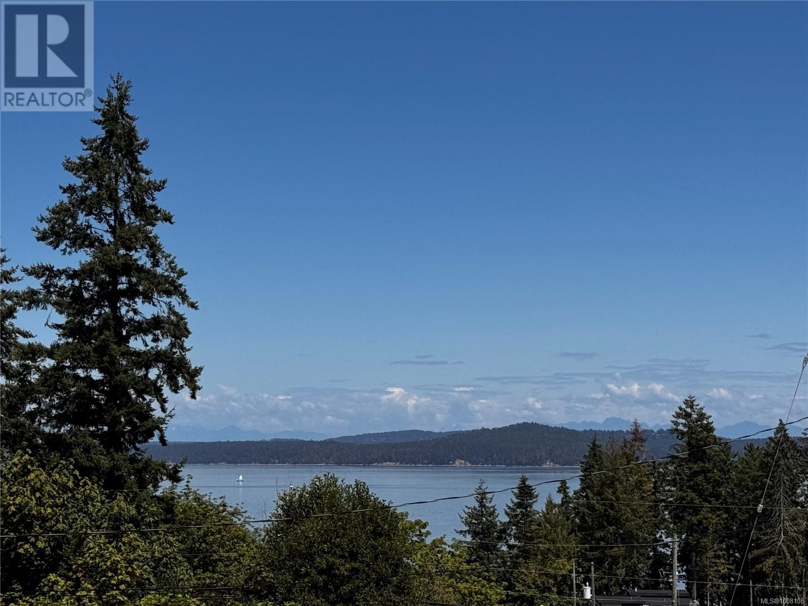 Lot 2 Douglas St, Chemainus, British Columbia  V0R 1K0 - Photo 4 - 1008108