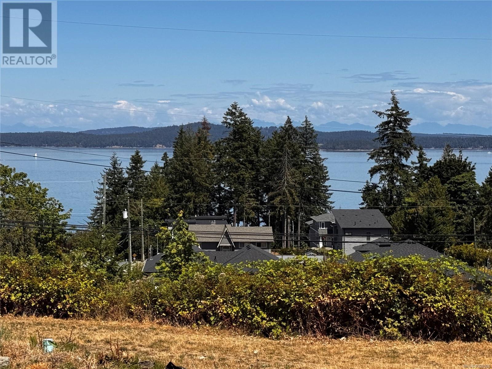 Lot 2 Douglas St, Chemainus, British Columbia  V0R 1K0 - Photo 3 - 1008108