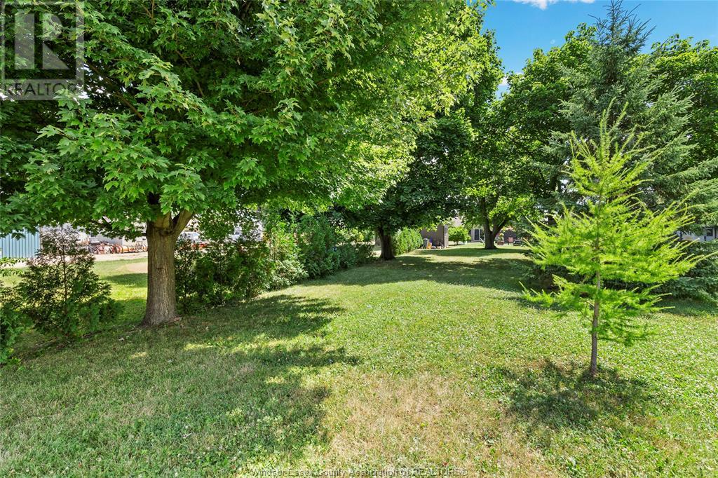 1425 Erie Road, Harrow, Ontario  N0R 1G0 - Photo 32 - 25018460