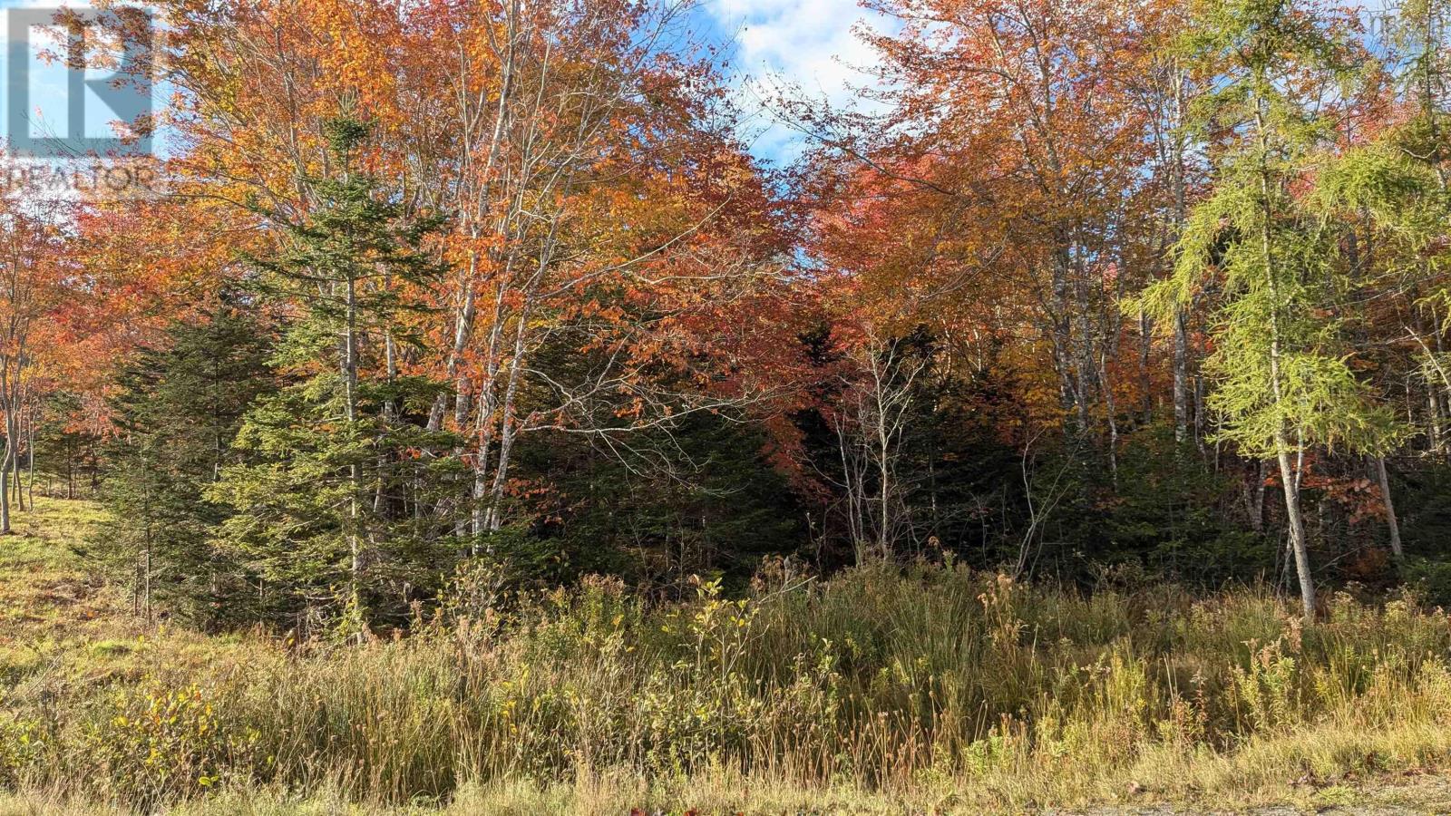 Lot 4 French Cove Road, French Cove, Nova Scotia  B0E 3B0 - Photo 5 - 202502713