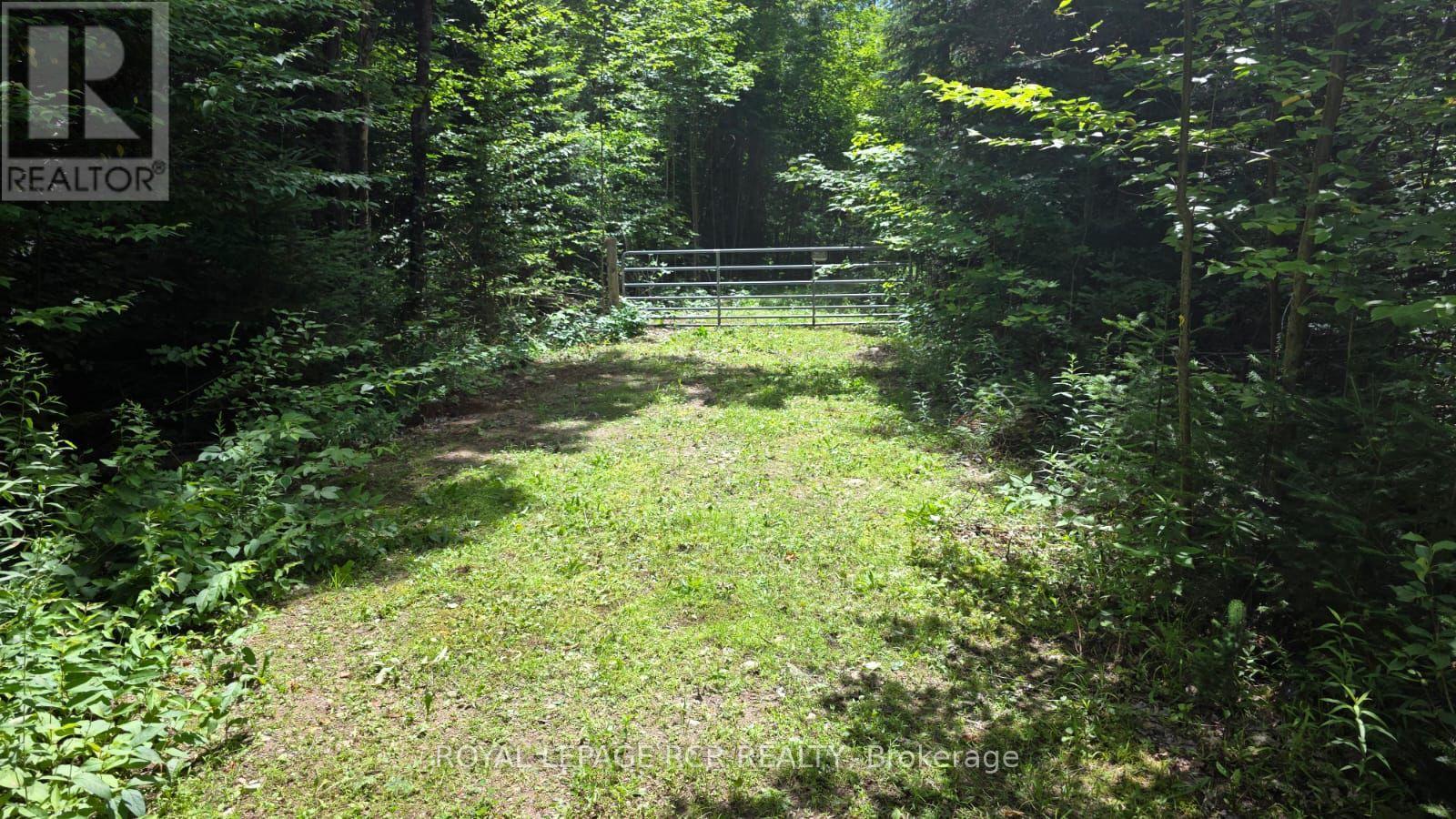 Pt Lot 6 Con 10 Monmouth Madill Road, Highlands East, Ontario  K0M 1R0 - Photo 2 - X12259528