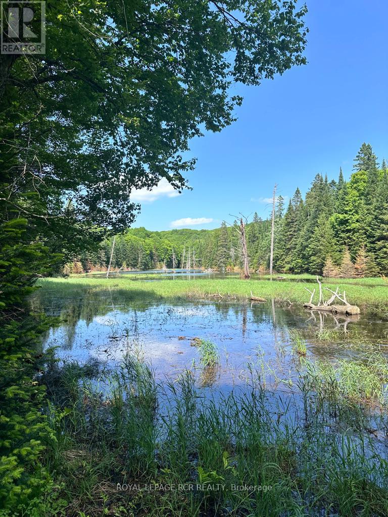 Pt Lot 6 Con 10 Monmouth Madill Road, Highlands East, Ontario  K0M 1R0 - Photo 6 - X12259528