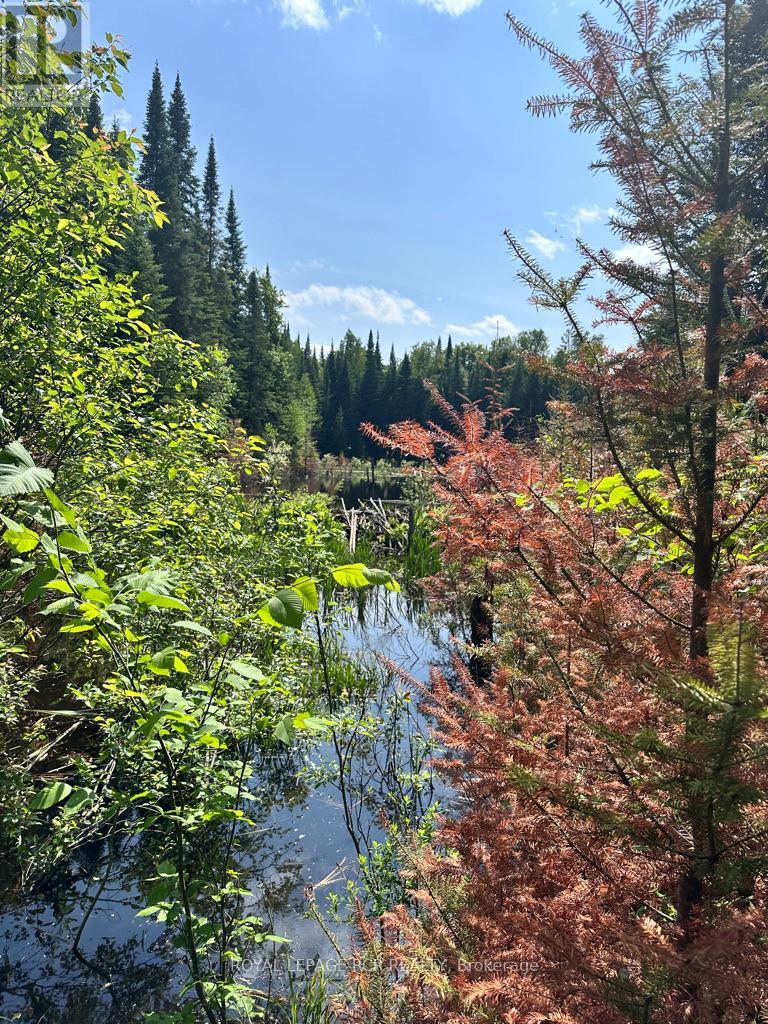 Pt Lot 6 Con 10 Monmouth Madill Road, Highlands East, Ontario  K0M 1R0 - Photo 7 - X12259528