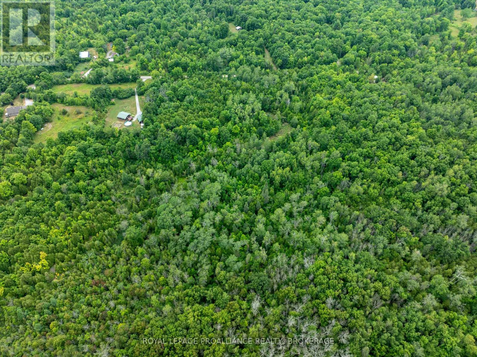 Pt Lt 14 Henderson Road, Greater Napanee, Ontario  K0K 2L0 - Photo 13 - X12299626