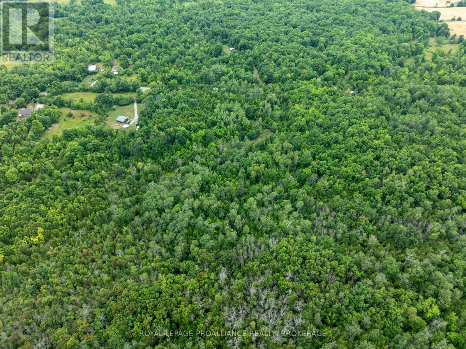 Pt Lt 14 Henderson Road, Greater Napanee, Ontario  K0K 2L0 - Photo 14 - X12299626