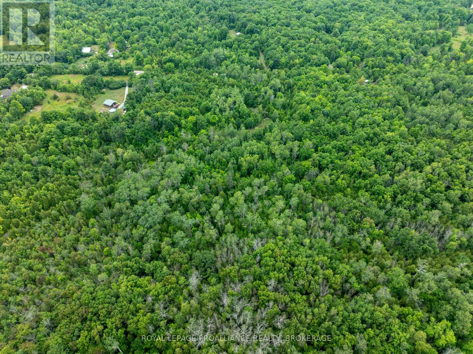 Pt Lt 14 Henderson Road, Greater Napanee, Ontario  K0K 2L0 - Photo 15 - X12299626