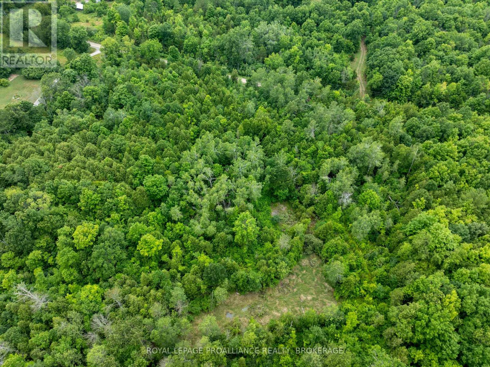 Pt Lt 14 Henderson Road, Greater Napanee, Ontario  K0K 2L0 - Photo 18 - X12299626