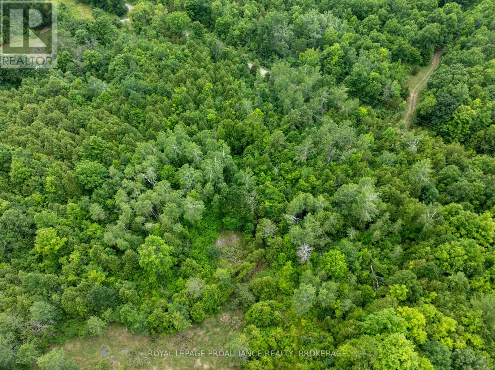 Pt Lt 14 Henderson Road, Greater Napanee, Ontario  K0K 2L0 - Photo 19 - X12299626