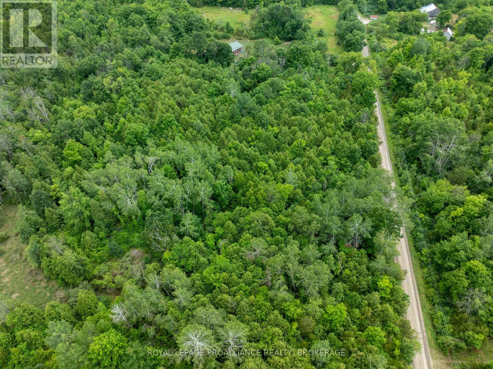 Pt Lt 14 Henderson Road, Greater Napanee, Ontario  K0K 2L0 - Photo 20 - X12299626