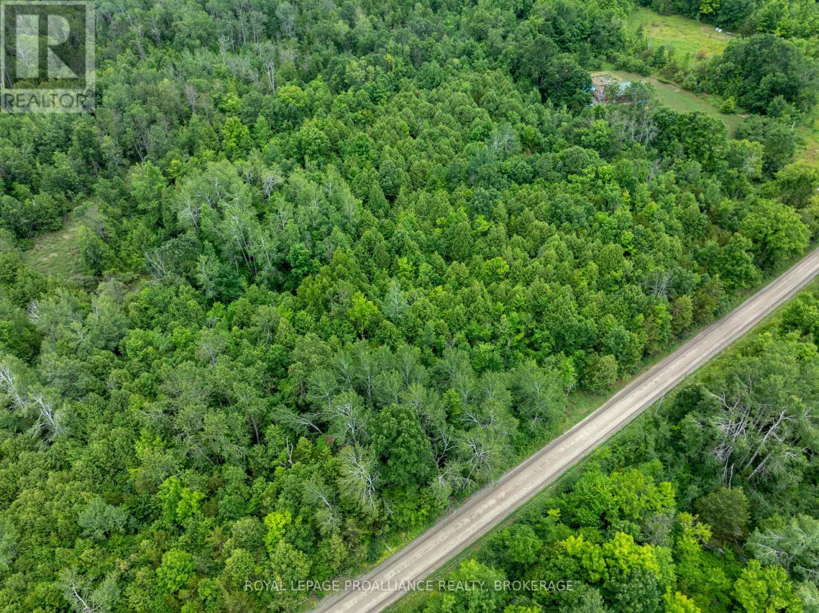 Pt Lt 14 Henderson Road, Greater Napanee, Ontario  K0K 2L0 - Photo 22 - X12299626