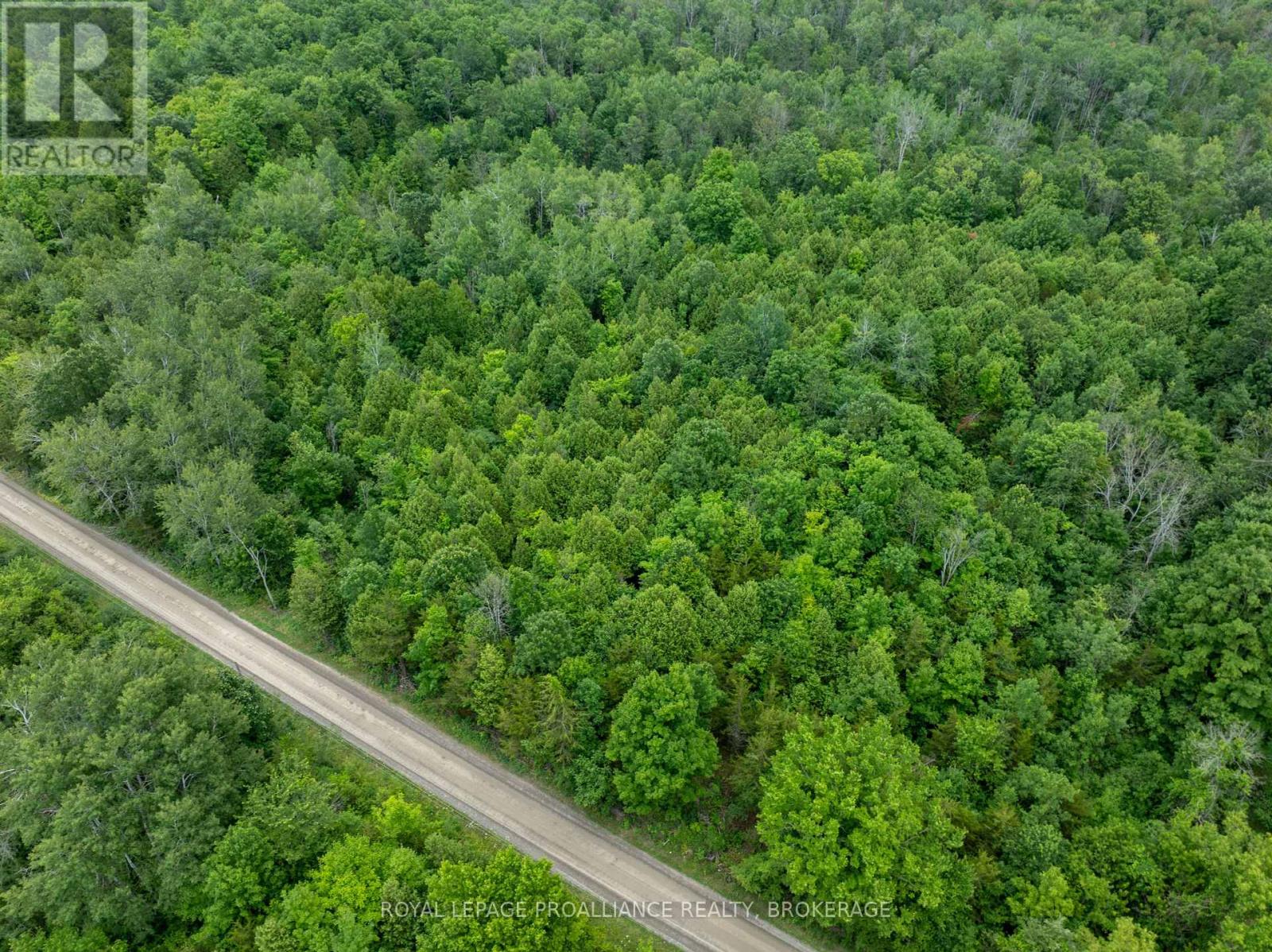 Pt Lt 14 Henderson Road, Greater Napanee, Ontario  K0K 2L0 - Photo 25 - X12299626