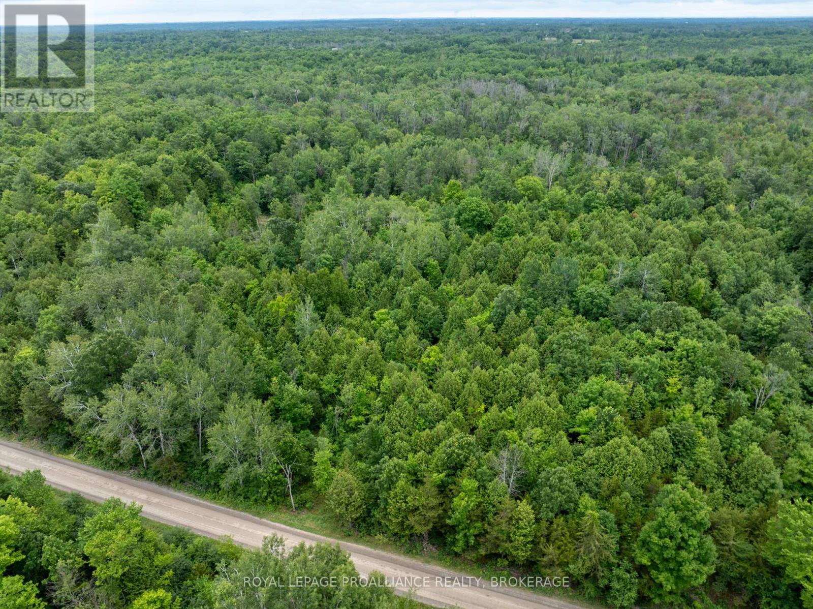 Pt Lt 14 Henderson Road, Greater Napanee, Ontario  K0K 2L0 - Photo 28 - X12299626