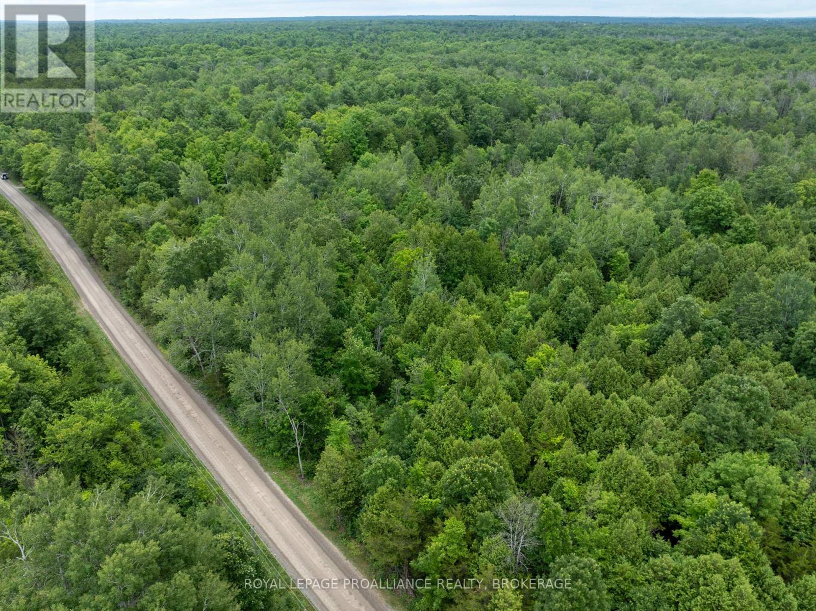 Pt Lt 14 Henderson Road, Greater Napanee, Ontario  K0K 2L0 - Photo 29 - X12299626