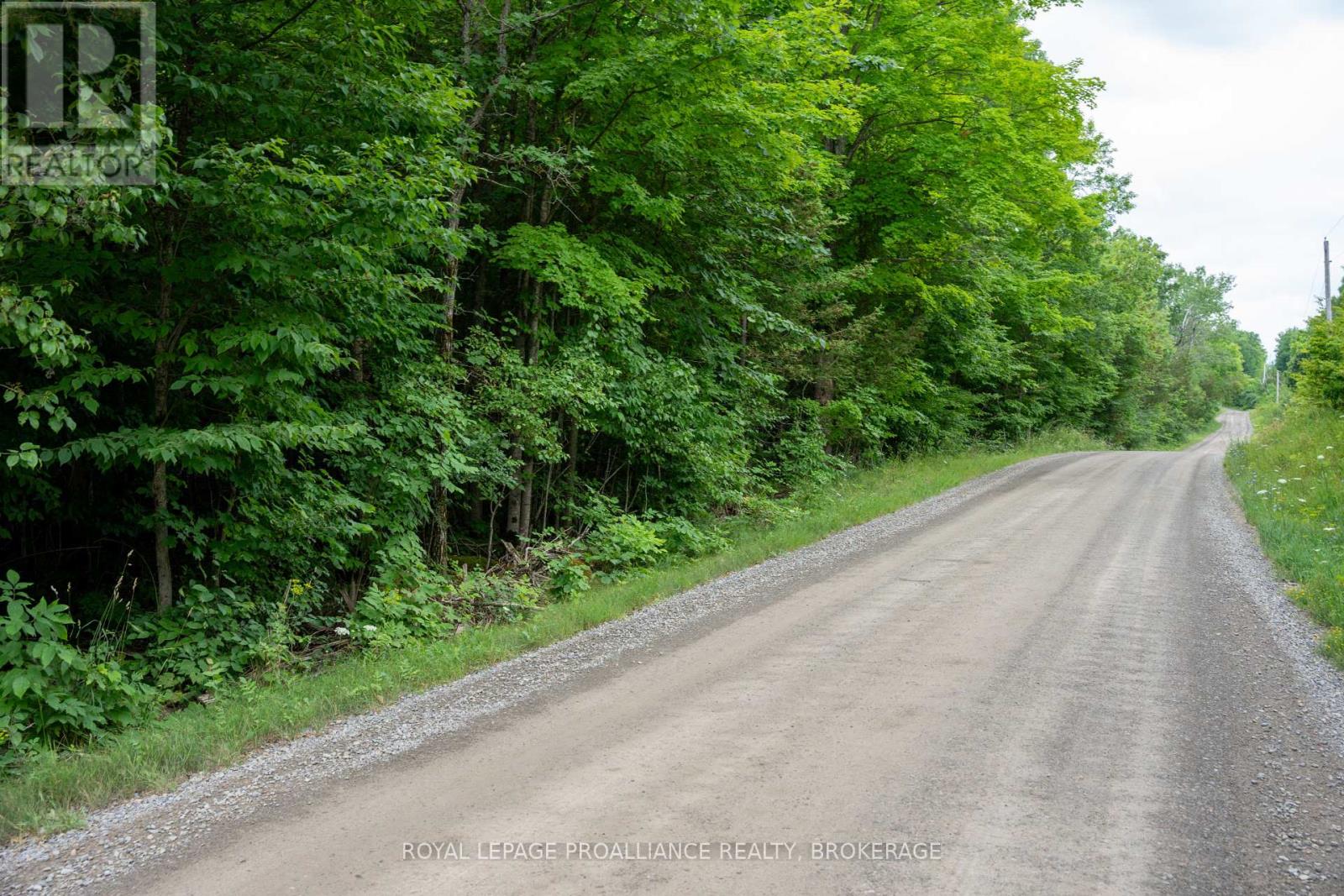 Pt Lt 14 Henderson Road, Greater Napanee, Ontario  K0K 2L0 - Photo 31 - X12299626
