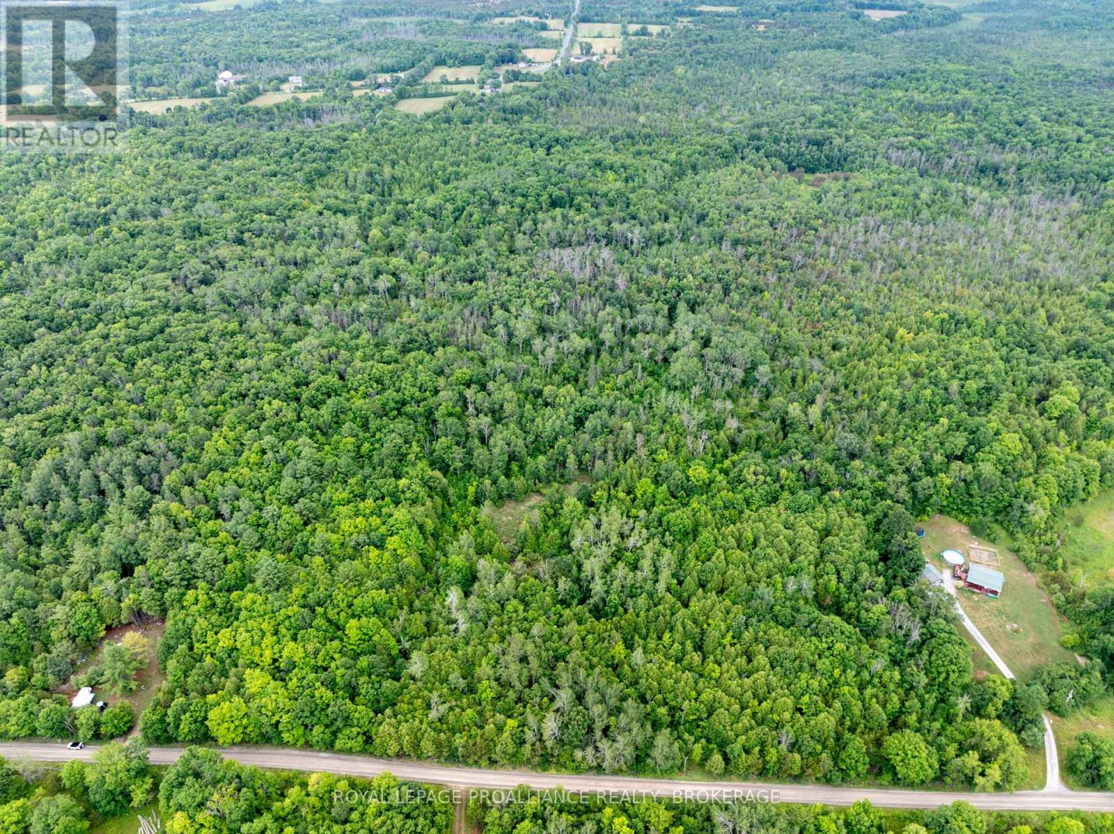 Pt Lt 14 Henderson Road, Greater Napanee, Ontario  K0K 2L0 - Photo 6 - X12299626