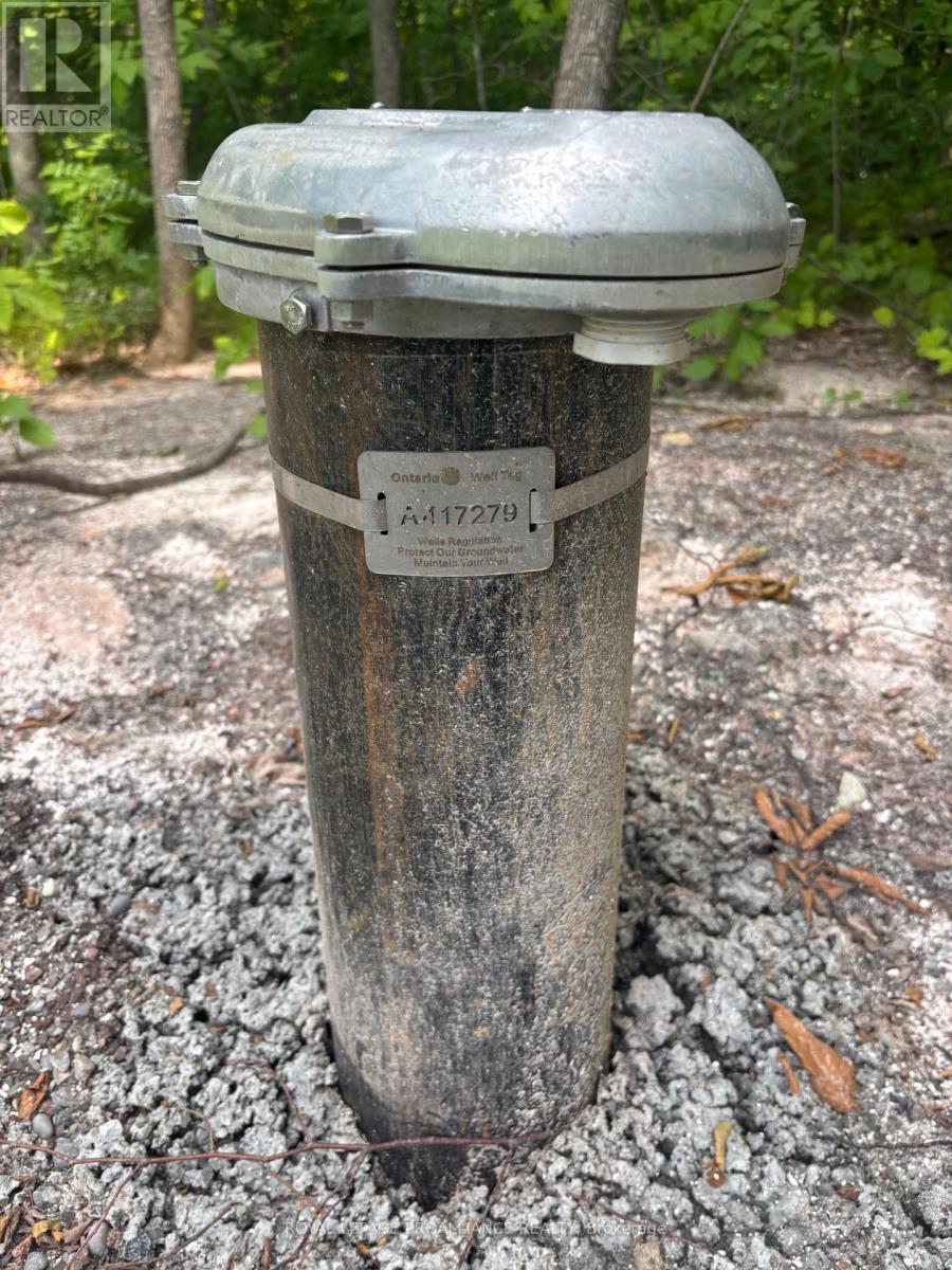 Severed B - 554 Pigden Road, Madoc, Ontario  K0K 2K0 - Photo 7 - X12283346