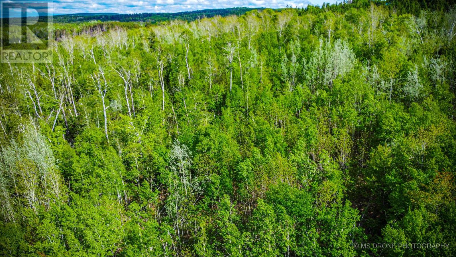 720 Balmoral Road, Central New Annan, Nova Scotia  B0K 1V0 - Photo 21 - 202513196