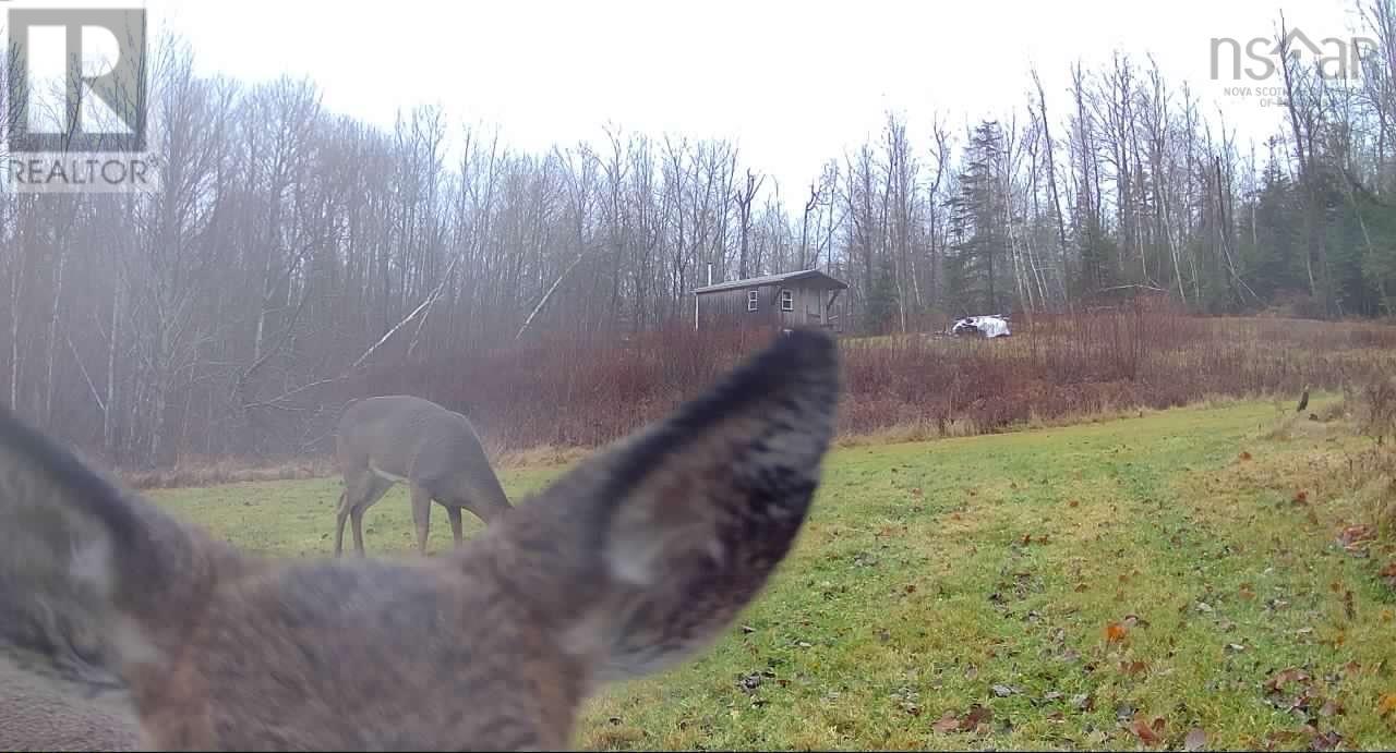 720 Balmoral Road, Central New Annan, Nova Scotia  B0K 1V0 - Photo 48 - 202513196