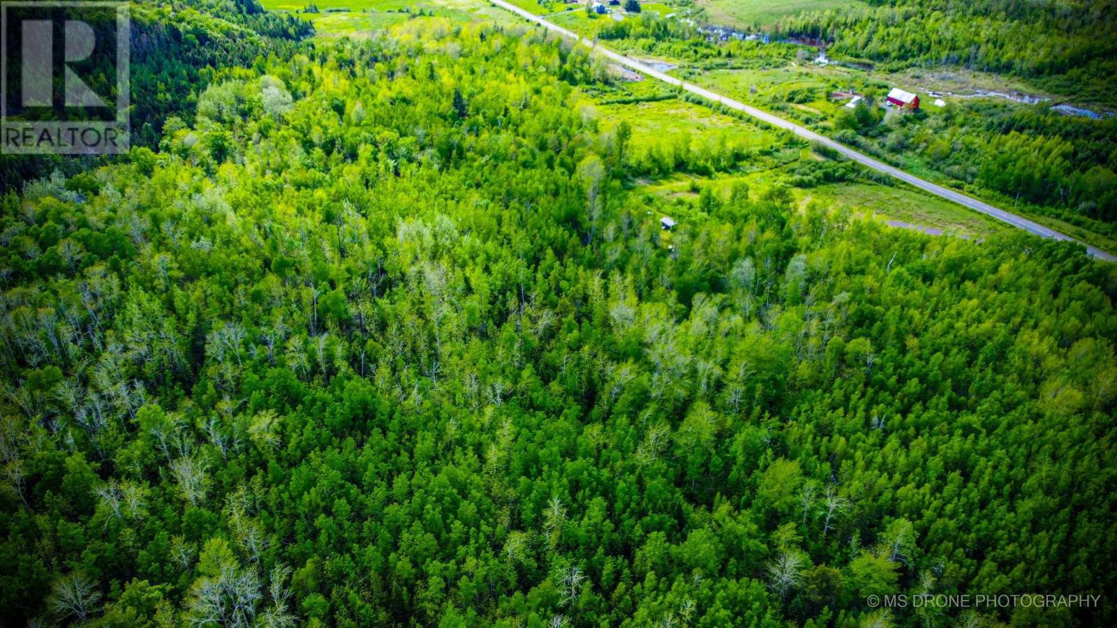 720 Balmoral Road, Central New Annan, Nova Scotia  B0K 1V0 - Photo 44 - 202513196