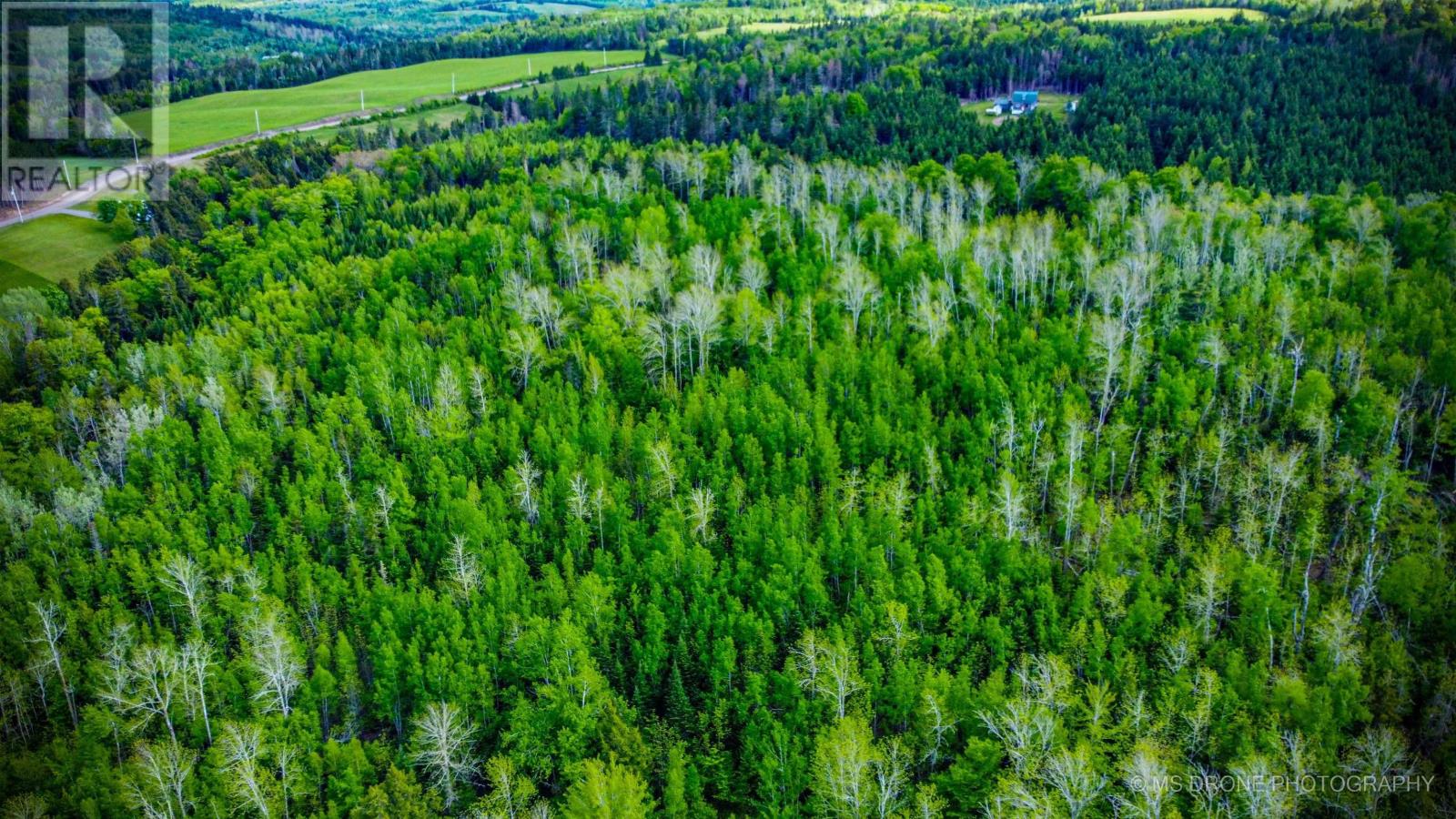 720 Balmoral Road, Central New Annan, Nova Scotia  B0K 1V0 - Photo 43 - 202513196