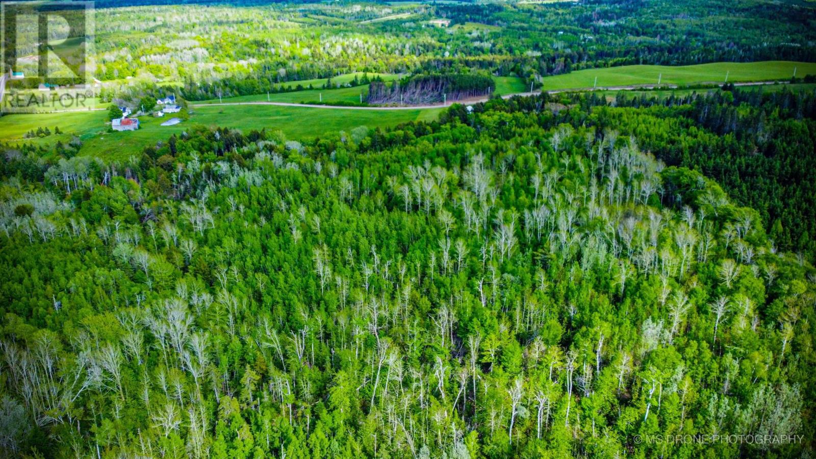 720 Balmoral Road, Central New Annan, Nova Scotia  B0K 1V0 - Photo 26 - 202513196