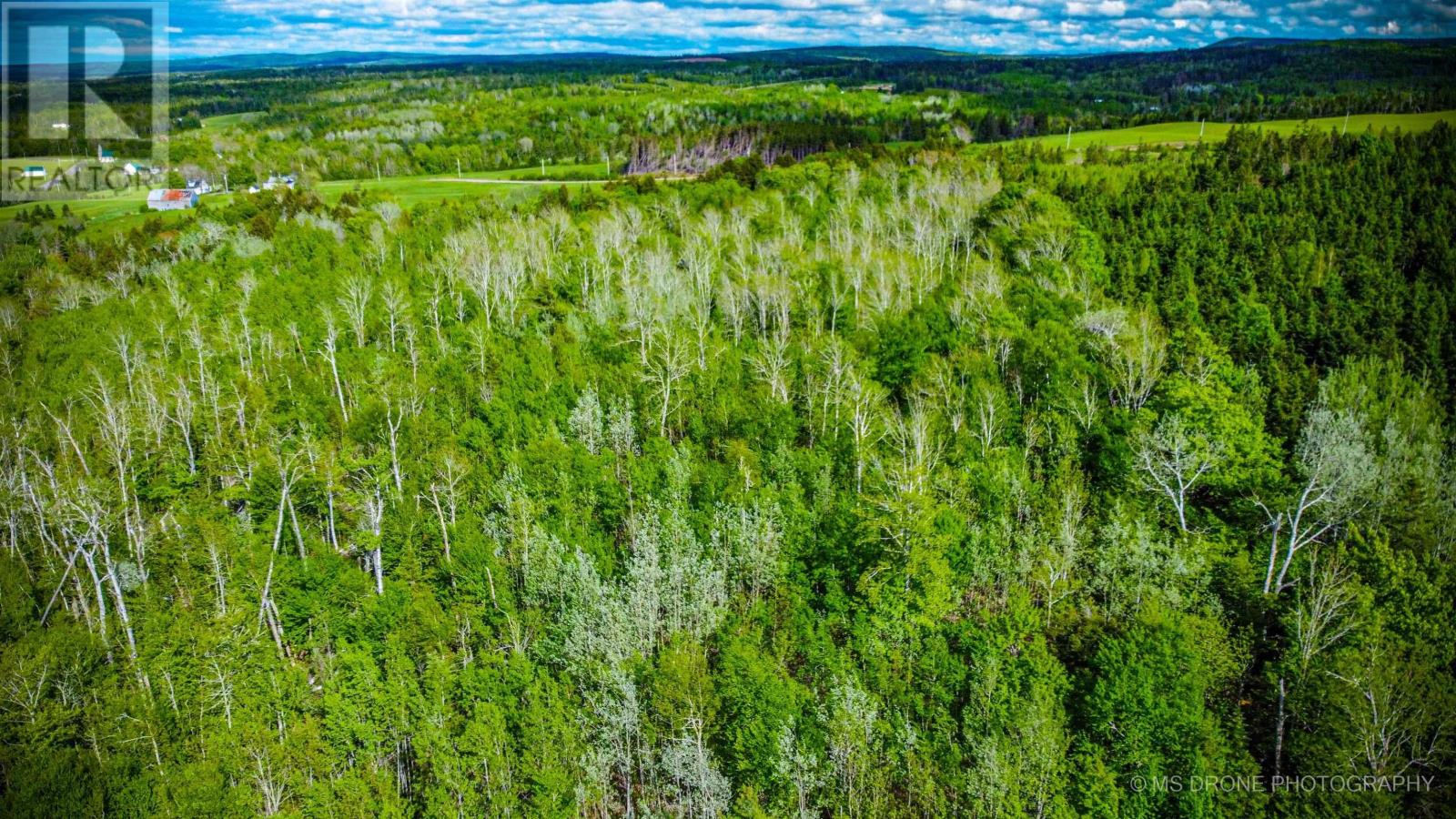 720 Balmoral Road, Central New Annan, Nova Scotia  B0K 1V0 - Photo 22 - 202513196