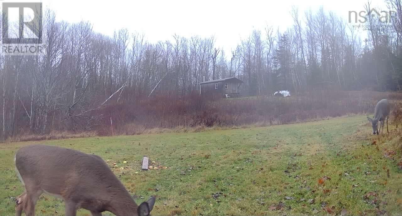 720 Balmoral Road, Central New Annan, Nova Scotia  B0K 1V0 - Photo 49 - 202513196