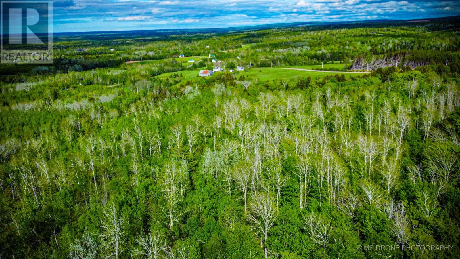 720 Balmoral Road, Central New Annan, Nova Scotia  B0K 1V0 - Photo 24 - 202513196