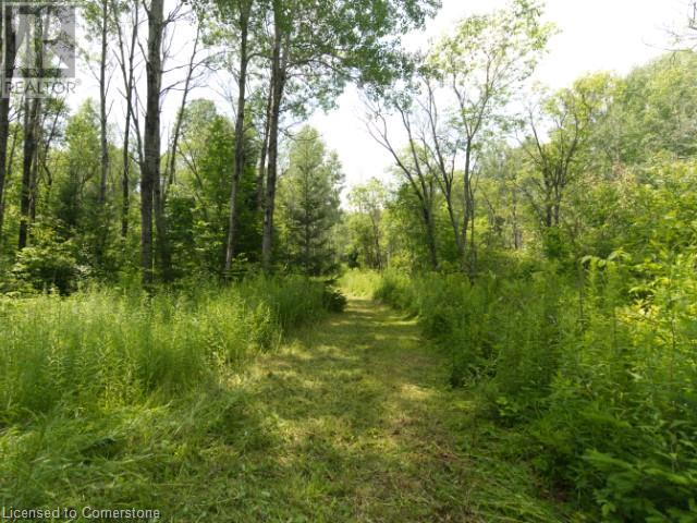 954 Rodeo Road, Strong, Ontario  P0A 1Z0 - Photo 10 - 40753640