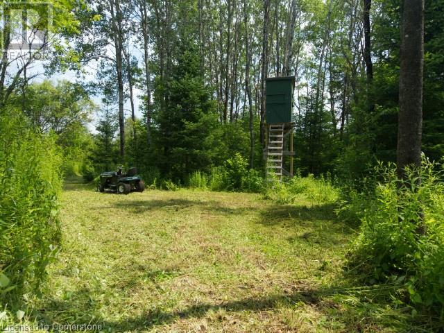 954 Rodeo Road, Strong, Ontario  P0A 1Z0 - Photo 11 - 40753640