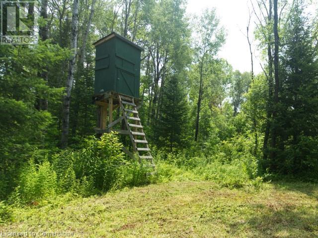 954 Rodeo Road, Strong, Ontario  P0A 1Z0 - Photo 12 - 40753640