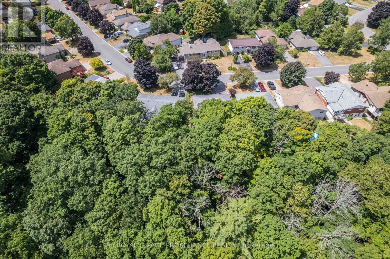 56 Parkview Heights, Quinte West, Ontario  K8V 5L7 - Photo 7 - X12299940