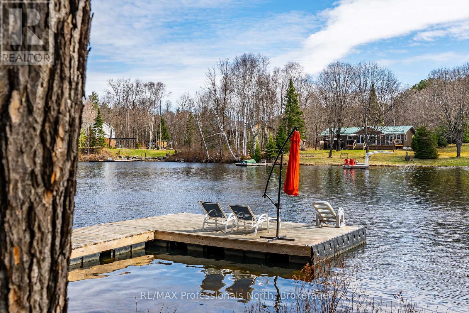1054 Grace River Road, Highlands East, Ontario  K0L 1M0 - Photo 40 - X12114947