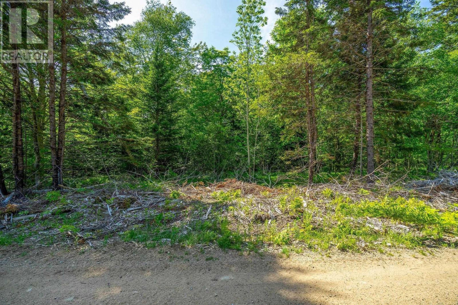 Lot Highway 1, Grosses Coques, Nova Scotia  B0W 1M0 - Photo 49 - 202515803