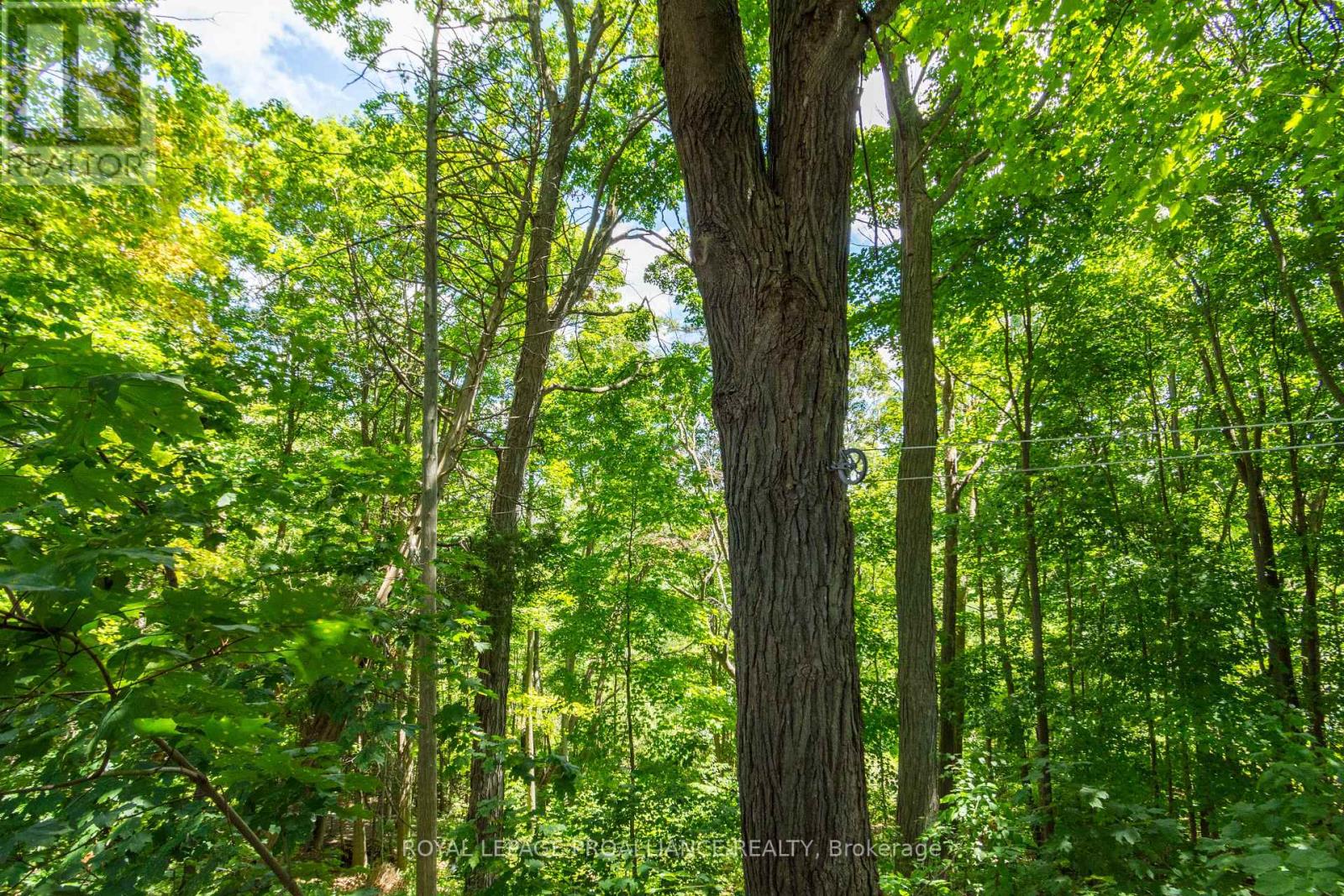 56 Parkview Heights, Quinte West, Ontario  K8V 5L7 - Photo 41 - X12299940