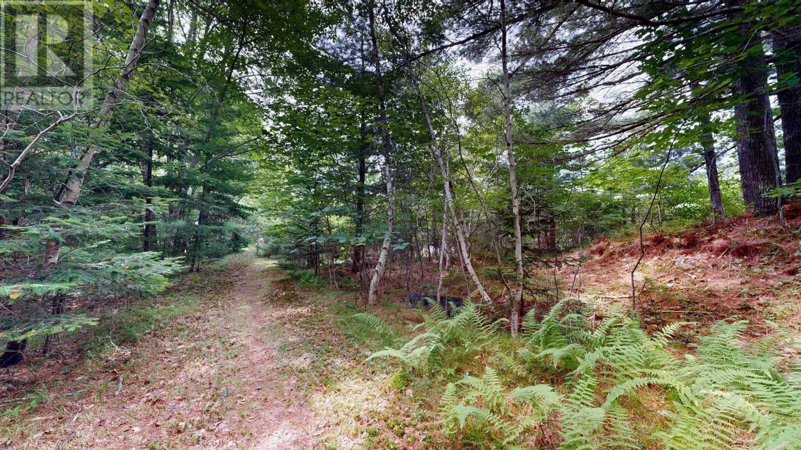 523 Mill Village East Road, Charleston, Nova Scotia  B0J 2H0 - Photo 42 - 202518147