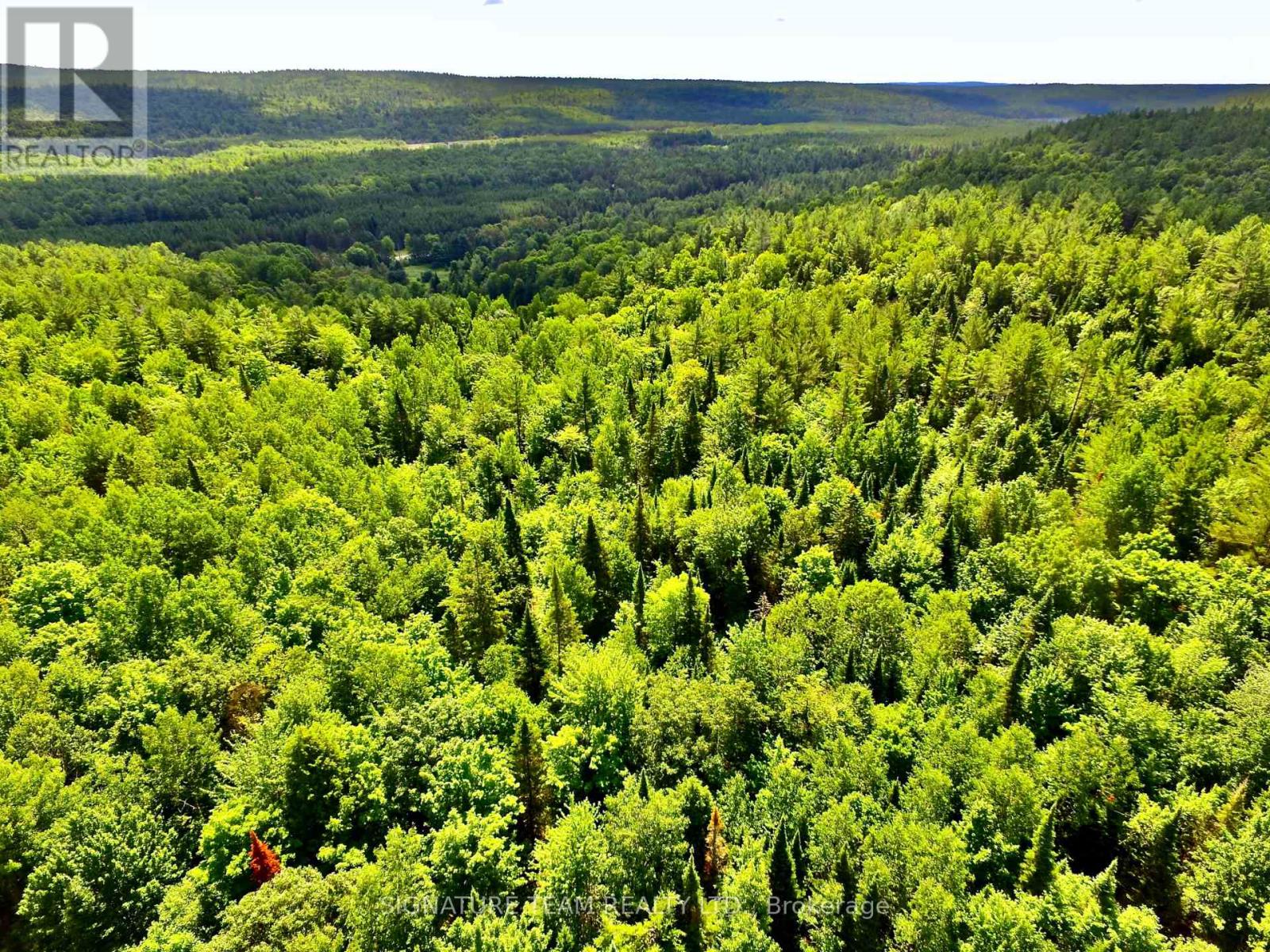 19626 41 Highway, Addington Highlands, Ontario  K0H 1K0 - Photo 27 - X12300111