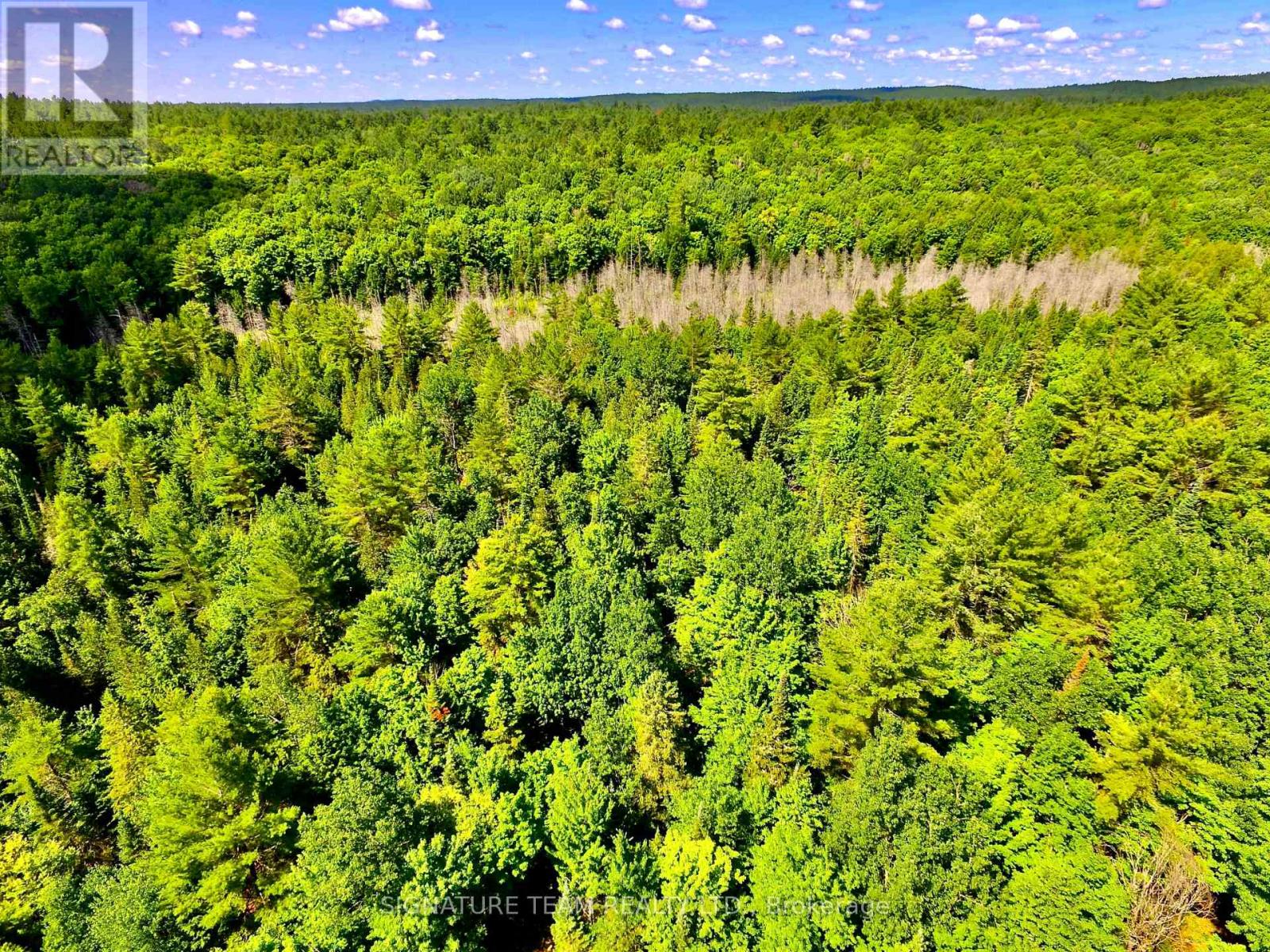 19626 41 Highway, Addington Highlands, Ontario  K0H 1K0 - Photo 28 - X12300111