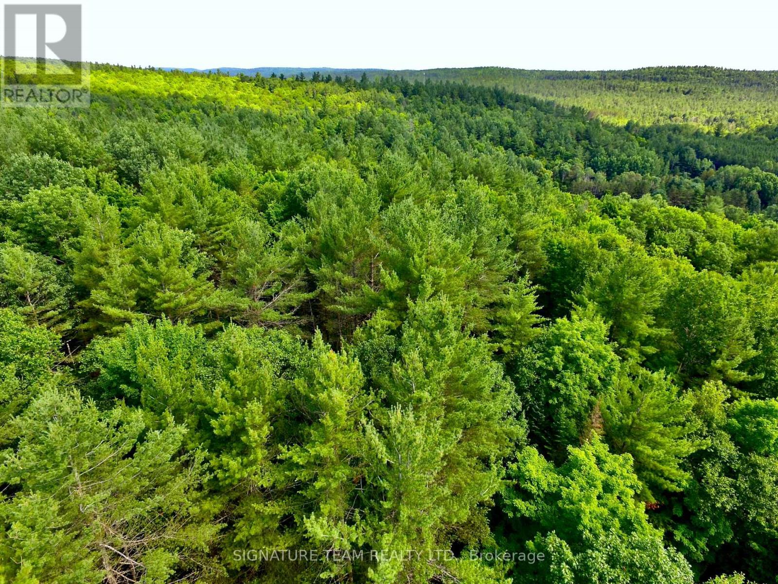 19626 41 Highway, Addington Highlands, Ontario  K0H 1K0 - Photo 29 - X12300111