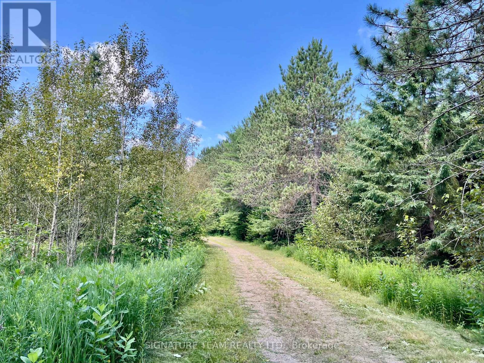 19626 41 Highway, Addington Highlands, Ontario  K0H 1K0 - Photo 34 - X12300111