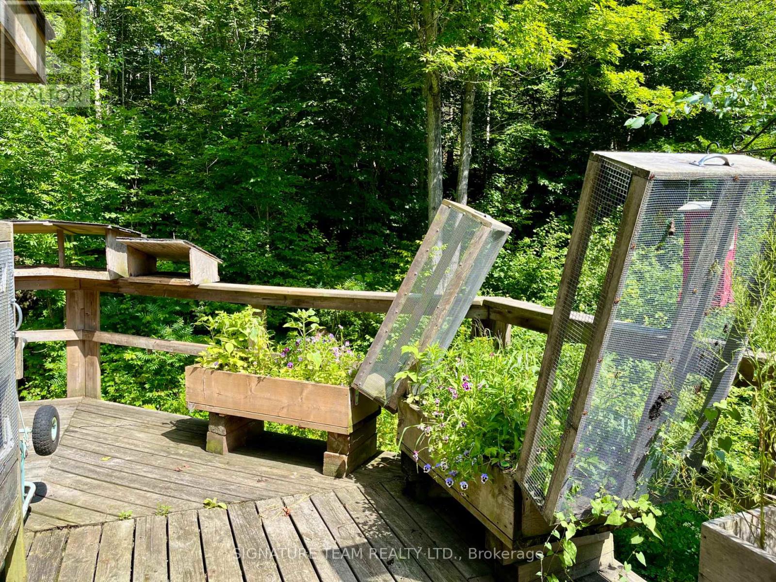 19626 41 Highway, Addington Highlands, Ontario  K0H 1K0 - Photo 42 - X12300111