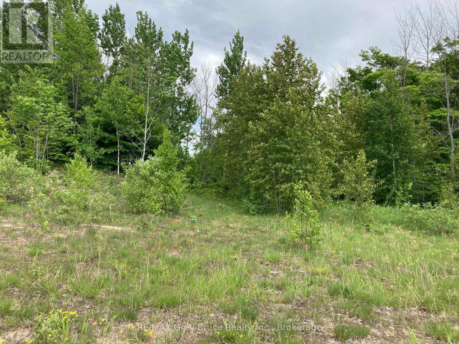 217 Bryant Street, South Bruce Peninsula, Ontario  N0H 2T0 - Photo 20 - X12183660