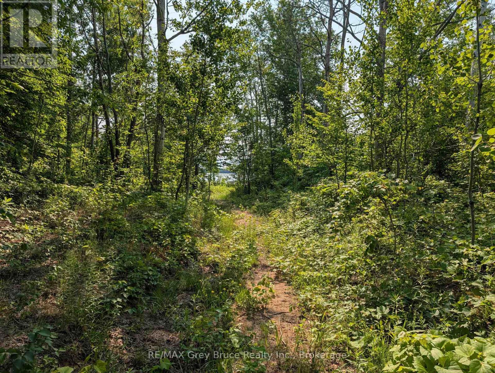 217 Bryant Street, South Bruce Peninsula, Ontario  N0H 2T0 - Photo 9 - X12183660