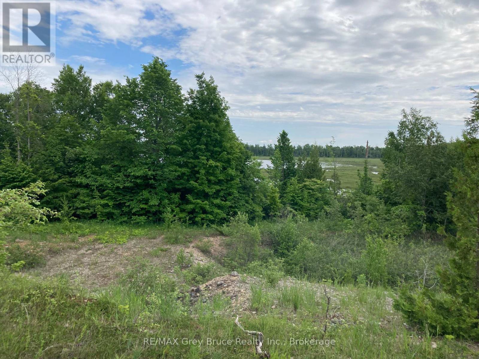 217 Bryant Street, South Bruce Peninsula, Ontario  N0H 2T0 - Photo 26 - X12183660
