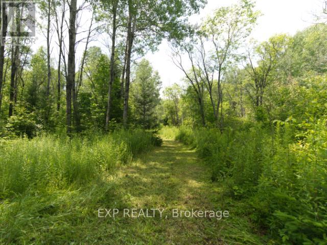 954 Rodeo Road, Strong, Ontario  P0A 1Z0 - Photo 10 - X12299931