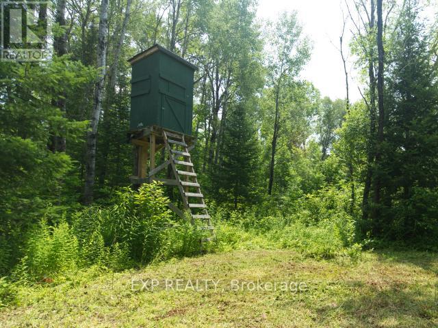 954 Rodeo Road, Strong, Ontario  P0A 1Z0 - Photo 12 - X12299931