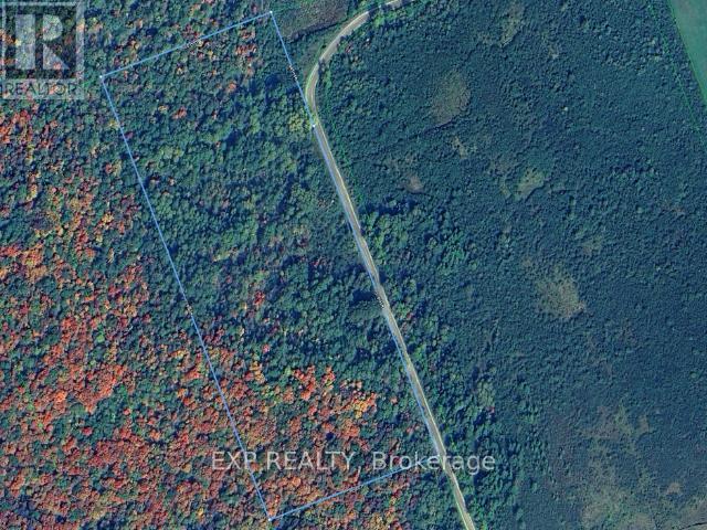 954 Rodeo Road, Strong, Ontario  P0A 1Z0 - Photo 3 - X12299931