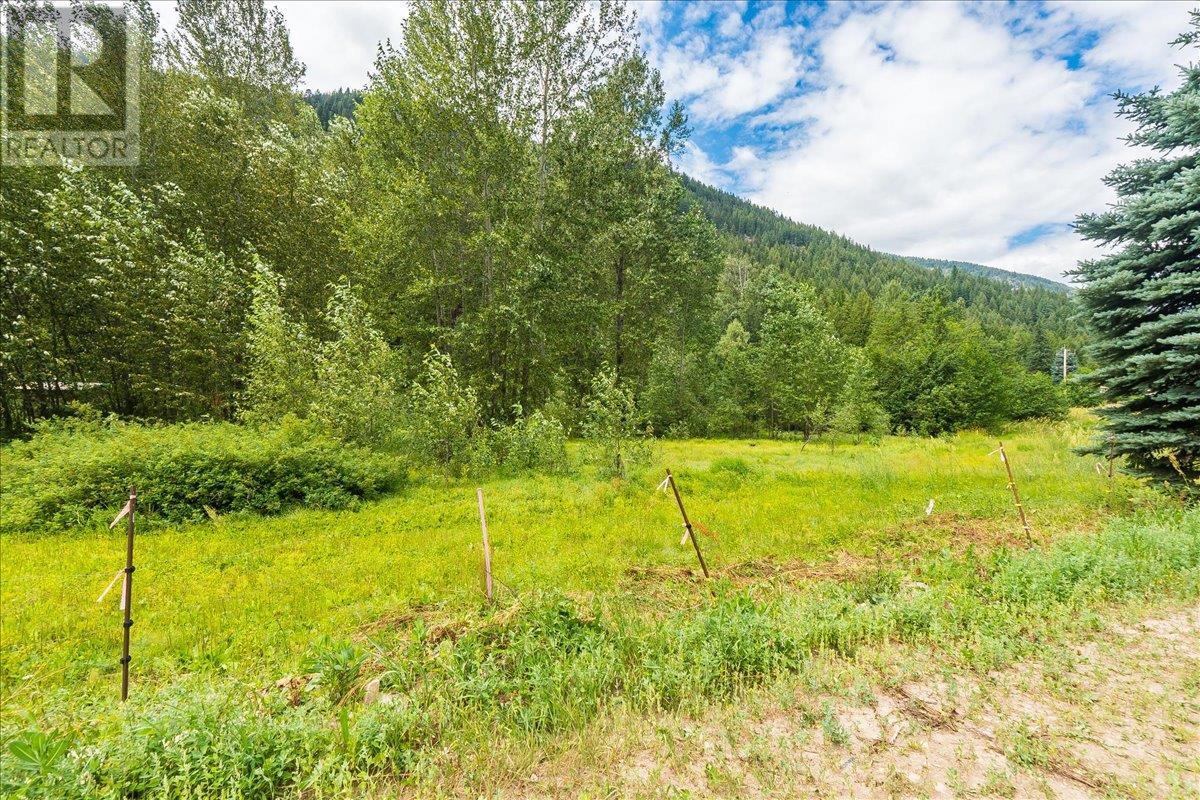 1765 Highway 3a Highway, Castlegar, British Columbia  V1N 3H3 - Photo 88 - 10354952