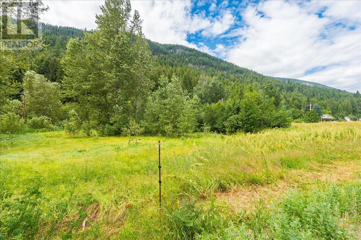1765 Highway 3a Highway, Castlegar, British Columbia  V1N 3H3 - Photo 77 - 10354952