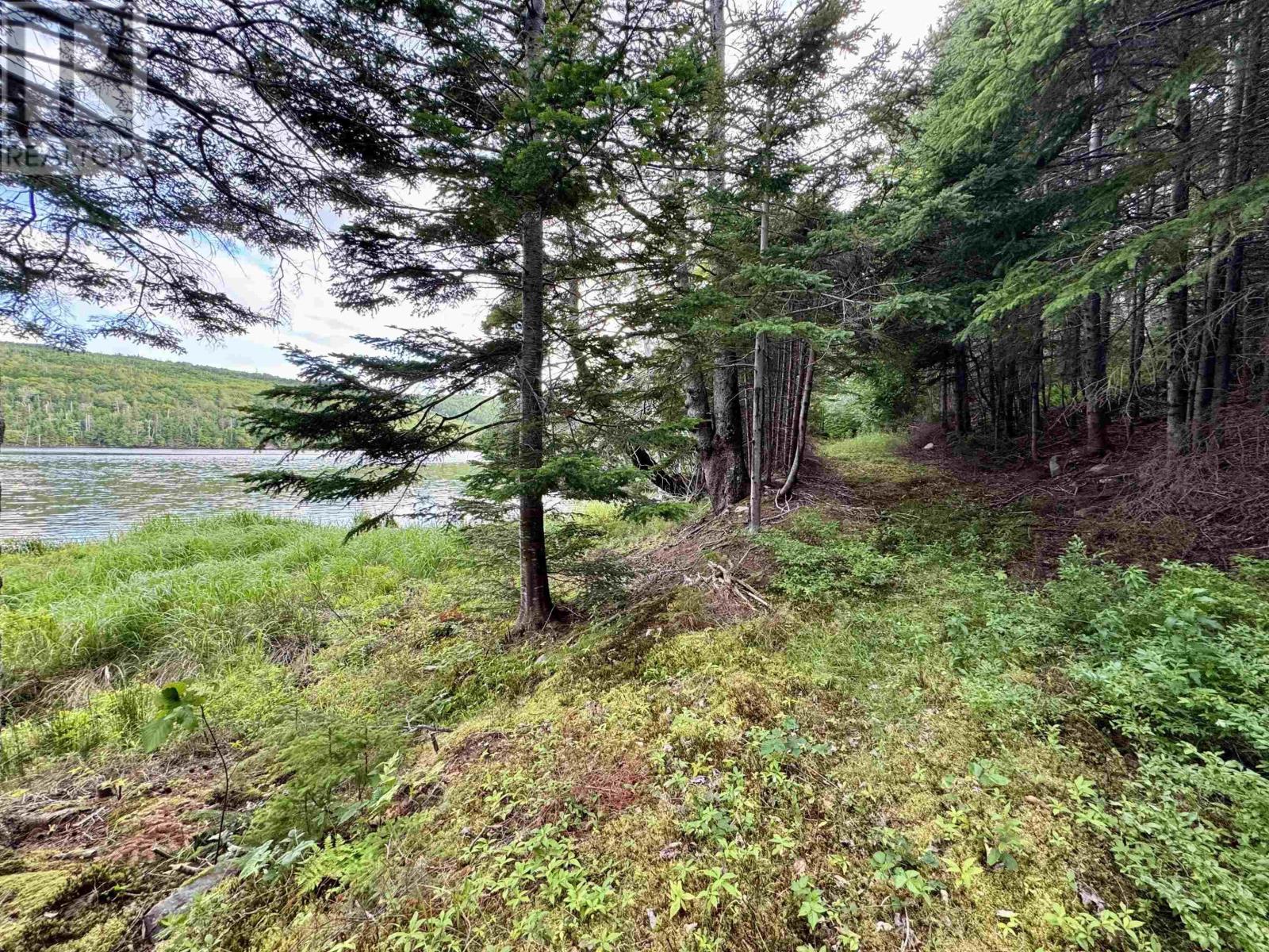 9169 Highway 16, Cooks Cove, Nova Scotia  B0H 1N0 - Photo 48 - 202518331